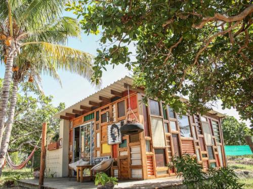 托弗海滩Mozambeat Motel的海滩上一棵棕榈树的房子