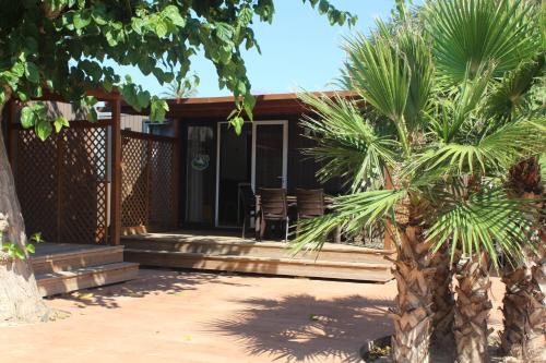 贝尼多姆阿玛尼罗营地酒店的前面有棕榈树的房子