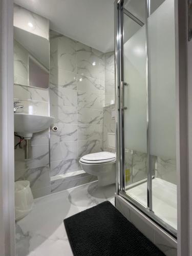 圣维斯鲁瓦西法斯特酒店 - 圣维斯的带淋浴、卫生间和盥洗盆的浴室