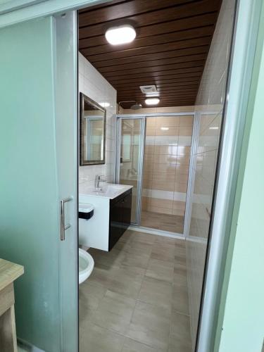 兴达港民宿的带淋浴、盥洗盆和卫生间的浴室