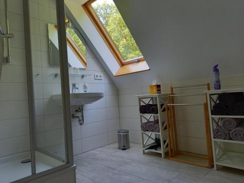 施托尔彭Ferienhaus Buschmuehle - Stolpen的一间带水槽和淋浴的浴室以及窗户。