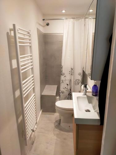 里昂Studio Croix Rousse的浴室配有卫生间、盥洗盆和淋浴。