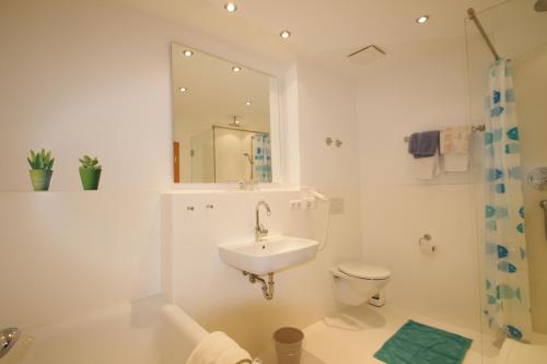 奥巴拉马高Hotel-Gasthof Rose的一间带水槽、卫生间和镜子的浴室