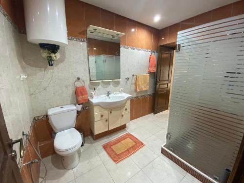 突尼斯Lac Palace Luxury Apartment-2 Bdr的浴室配有卫生间、盥洗盆和淋浴。
