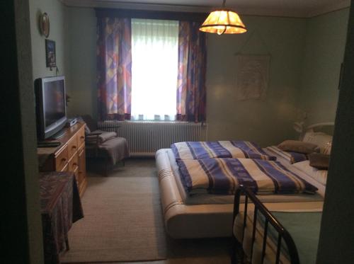 RantenMooswirt的一间卧室设有一张床、一台电视和一个窗口。