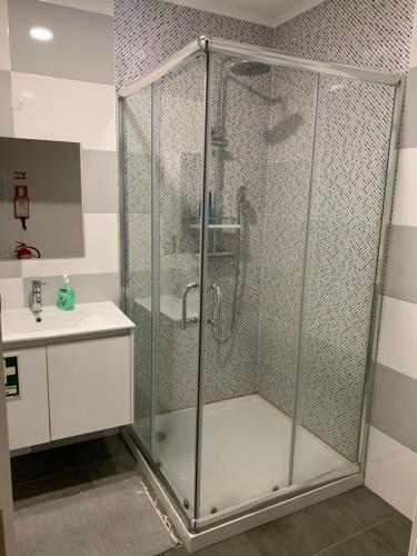 蓬蒂-迪索尔Liberty Guest House的一个带盥洗盆的浴室内的淋浴间
