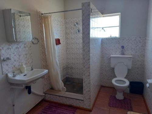 PrieskaBrandwag Pool Room的浴室配有卫生间、盥洗盆和淋浴。