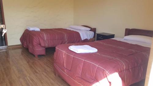 Las Palmeras Eco Hostel客房内的一张或多张床位