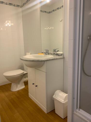 拉姆吉Appartement 2 chambres en duplex à La Mongie的白色的浴室设有水槽和卫生间。