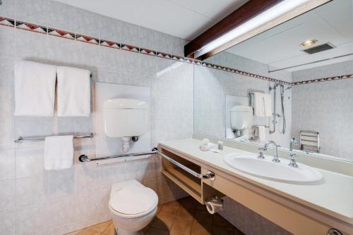 阿德莱德阿德莱德酒店的一间带水槽、卫生间和镜子的浴室