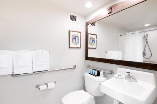 檀香山Luana Waikiki #710的一间带卫生间、水槽和镜子的浴室