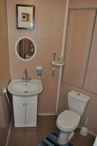 克列缅丘格Spacious apartment with balcony的一间带水槽、卫生间和镜子的浴室
