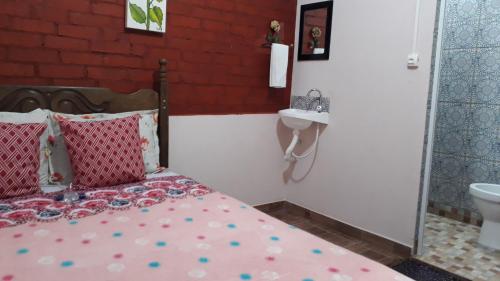 里奥阿西马Aconchego Caminho das Cachoeiras的一间卧室配有一张床和一个水槽