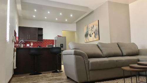波罗瓜尼Platinum Apartment的带沙发的客厅和厨房