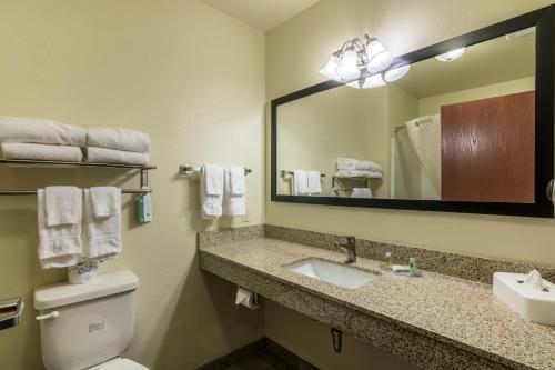 BarronCobblestone Inn & Suites - Barron的一间带水槽、镜子和卫生间的浴室