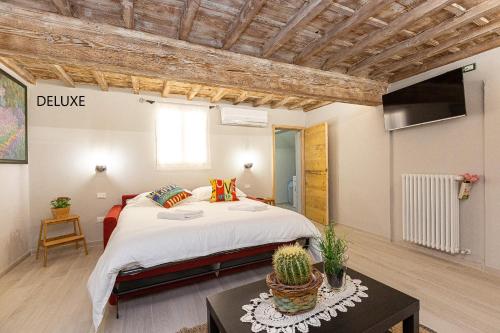 佛罗伦萨Geppi's Apartments的一间带大床和电视的卧室