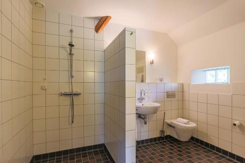 Lutjegast艾弗格德里凯达公寓的带淋浴、卫生间和盥洗盆的浴室
