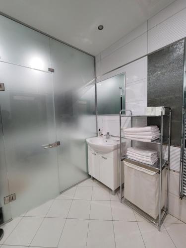 敖德萨阿卡迪亚公寓的白色的浴室设有水槽和淋浴。