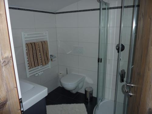 韦斯滕多夫克里斯特普公寓的一间带卫生间和玻璃淋浴间的浴室