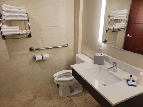 皇后区马斯佩斯快捷假日酒店的浴室配有白色卫生间和盥洗盆。