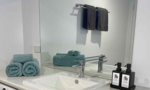 沃纳姆堡Botanic Racecourse的浴室配有盥洗盆、镜子和毛巾