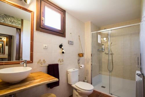 新阿森西奥Mar de viñas的浴室配有卫生间、盥洗盆和淋浴。