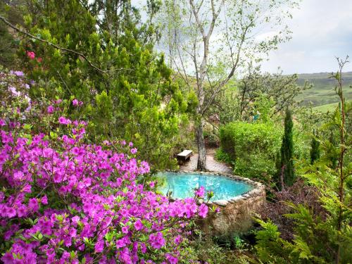 安德伯格Birches Cottage & the Willows Garden Room的花园,花园内设有游泳池,四周环绕着鲜花