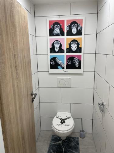 因斯布鲁克außergewöhnliche Kellerloft的浴室设有卫生间,墙上挂有图片