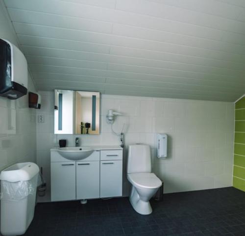 ArtjärviBed and Breakfast Artjärvi的一间带卫生间和水槽的浴室