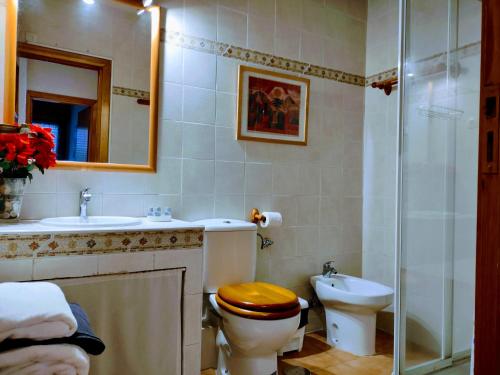 塞尔塞迪利亚Apartamento Puerto de Navacerrada的浴室配有卫生间、盥洗盆和淋浴。