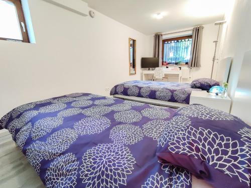 圣路易Tranquil City Haven close to Airport & Basel的一间卧室配有两张紫色和白色床单