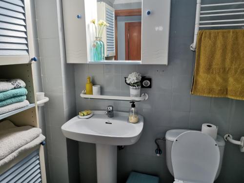 Habitación con baño privado的一间浴室