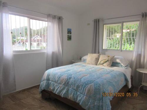 圣塔芭芭拉-山美纳Pelicano Tropical Paraiso Samana的一间卧室设有一张床和两个窗户。