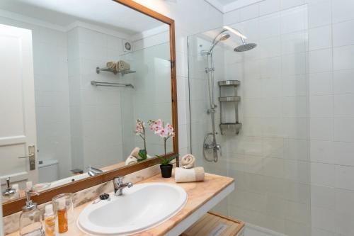 科斯塔特吉塞Bliss -Panoramic views-的一间带水槽和淋浴的浴室