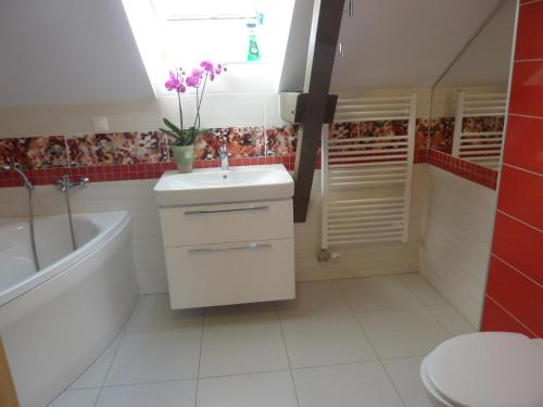 科希策Na hájiku- Veľký apartmán v rodinnom dvojdome, FREE PARKING的一间带水槽、浴缸和卫生间的浴室