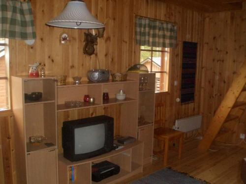 KarstulaArvola的一间带电视的客厅,位于木制房间内