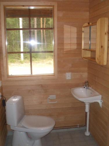 KarstulaArvola的一间带卫生间和水槽的浴室