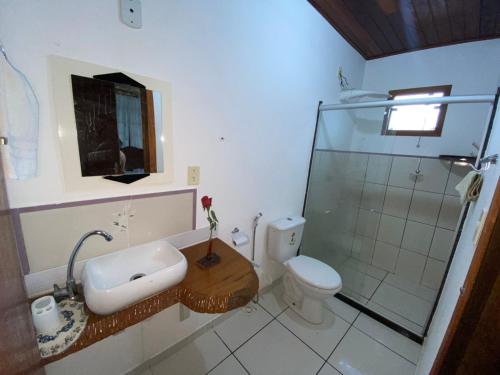 多明戈斯马丁斯Pousada Sítio Rústicu's的浴室配有卫生间、盥洗盆和淋浴。