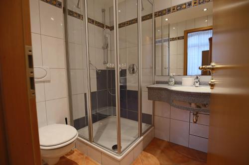 葡萄酒之路上的诺伊施塔特Hotel Restaurant Hambacher WInzer的带淋浴、卫生间和盥洗盆的浴室