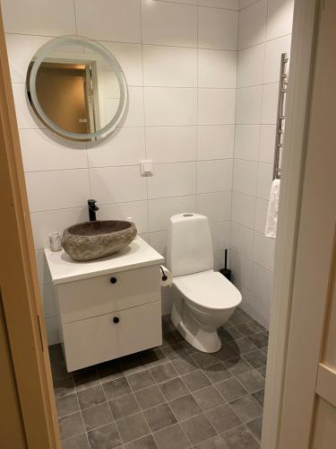 耶尔夫瑟Naturnära boende i vackra Järvsö - F的一间带水槽、卫生间和镜子的浴室