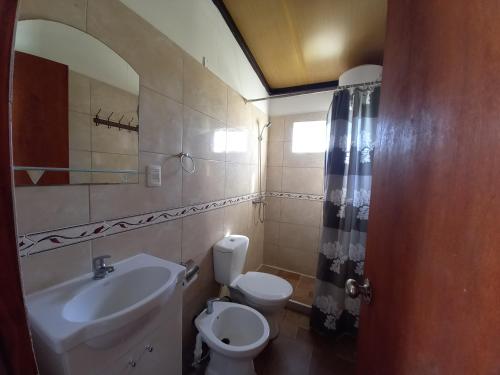 特玛斯德戴曼Posada del Pio, Granja的一间带水槽、卫生间和镜子的浴室