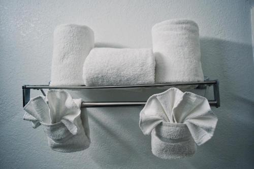 大急流城大急流城机场乡村酒店的浴室毛巾架上的几条毛巾
