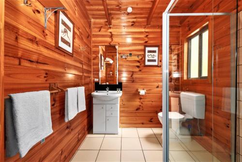 Saint Marys卢米拉生态山林小屋的一间带木墙、卫生间和水槽的浴室