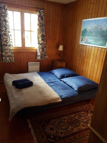 格吕耶尔Charming chalet with panoramic view and private garage in Gruyère的相册照片