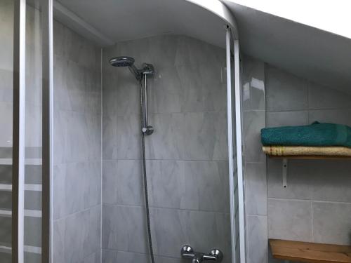 阿恩施塔特Pension Stepponat的浴室里设有玻璃门淋浴