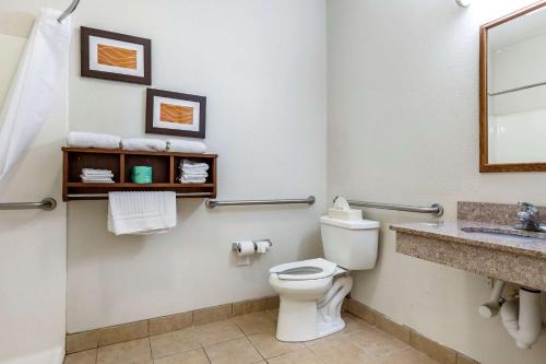 卡拉马祖Comfort Inn Downtown - University Area的一间带卫生间和水槽的浴室