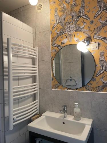 圣阿沃尔德Jardin Secret au Cœur de la Dourd’halie的一间带水槽和镜子的浴室