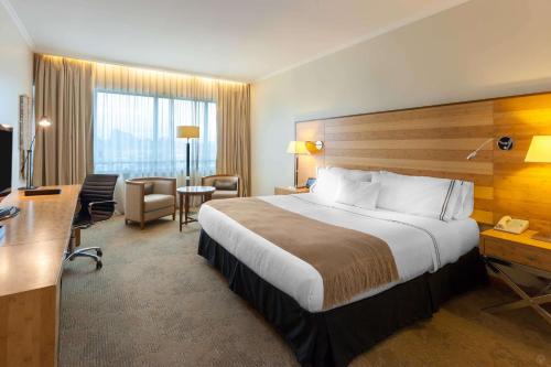 奥索尔诺奥索尔诺索尼斯塔酒店的酒店客房设有一张大床和一张书桌。