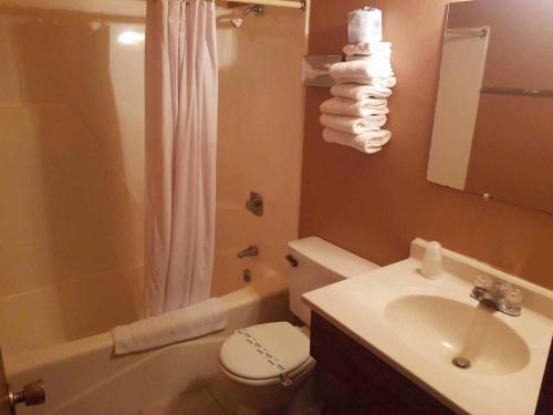 CliffordMountain View Lodge的浴室配有盥洗盆、卫生间和浴缸。