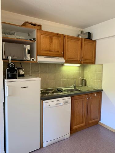 德沃吕伊Superdévoluy, appartement récent - en face et au pied des pistes的厨房配有木制橱柜和白色冰箱。